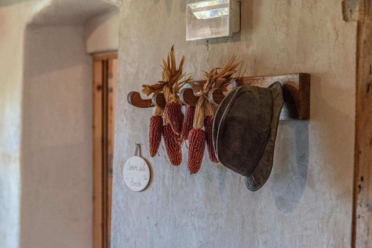 Camera De Le Rondole, Maso Postel - 500 Mt Strada Sterrata Pergine Valsugana Luaran gambar