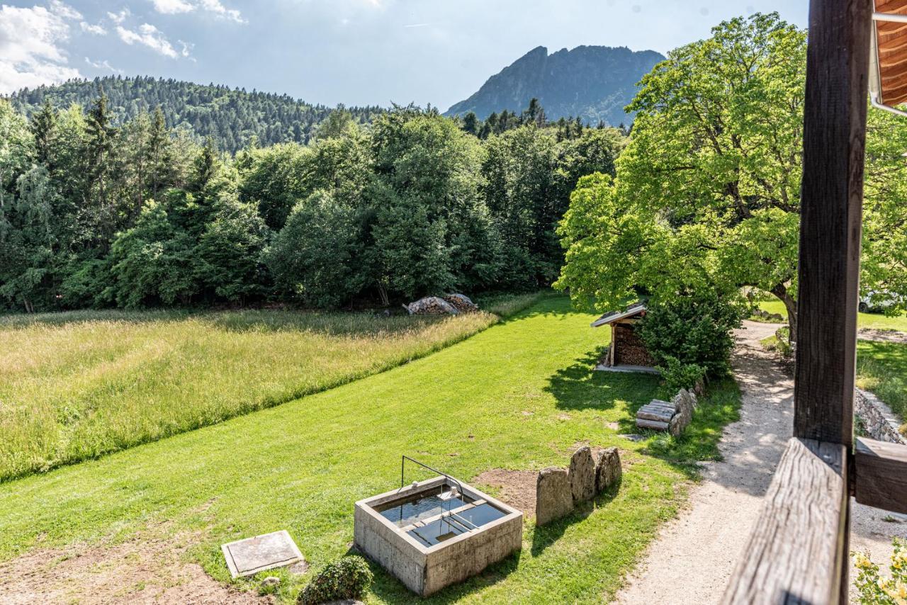 Camera De Le Rondole, Maso Postel - 500 Mt Strada Sterrata Pergine Valsugana Luaran gambar